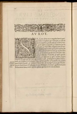 Av Roy