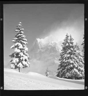 Am Wetterhorn