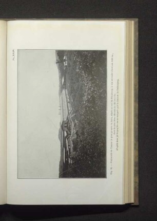 Fig. 38