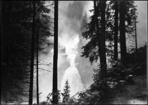 Krimml: Krimmler Wasserfall, Vordergrund Wald