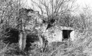 Neschwitz-Krinitz. Ehem. Mühle, Ruine des Wohn- und Mühlengebäudes