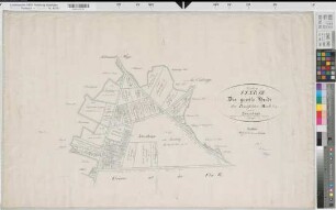 Raesfeld (Raesfeld), Teilung der Raesfelder Mark, Große Heide Reinkarte Flur 8