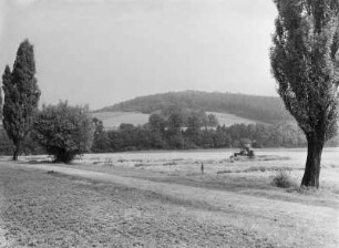 Blick zum Cottaer Spitzberg