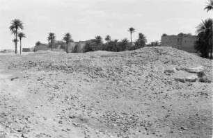 Die Oase Derg östlich von Gadames (Libyen-Reise 1938)