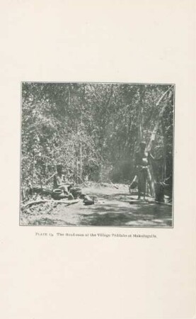Plate 13. The head-man of the Village Veddahs at Makulugulla