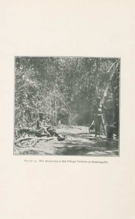 Plate 13. The head-man of the Village Veddahs at Makulugulla