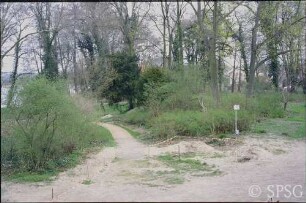 Caputh, Schlossgarten Caputh, Maßnahmen zur Wiederherstellung des Schlossgartens.