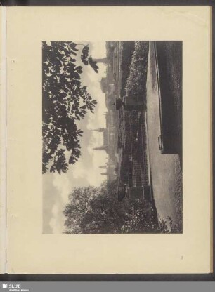 Blick vom Japanischen Palais in Dresden-Neustadt