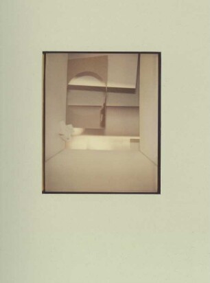 Polaroid #30