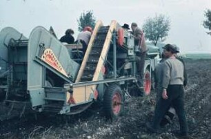 Fotografie: Erntetechnik, Kartoffel, Kartoffelsammelroder