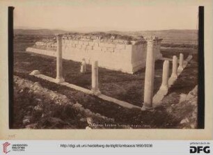 Temple de Minerve