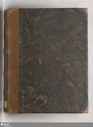 Evangelia dominicalia et festivalia - Mscr.Dresd.A.129