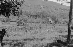 Pflanzung : Blick auf Pflanzungen an den Hängen der Usambara-Berge