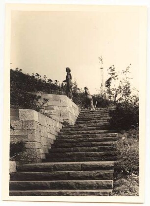 Bundesgartenschau 1955, Kassel: Exkursion, Steintreppe