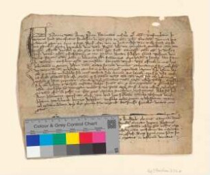 Johann Arnswalde, notarius publicus und Kleriker der Diözese Kammin, beurkundet die Vorführung eines Gefangenen vor dem bischöflichen Offizial zu Kammin und die Bereitschaft des Rates der Stadt Prenzlau zu dessen Überstellung an das geistliche Gericht, falls er Kleriker sei.