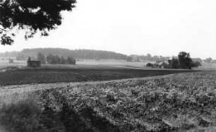 Oßling-Weißig. Blick vom Waldrand auf das Mühlengehöft Salomo