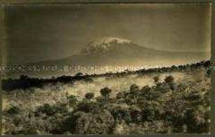 Ansicht des Kilimandscharo mit davorliegender Waldlandschaft