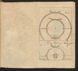 Fig. Phys. Tab. VI.