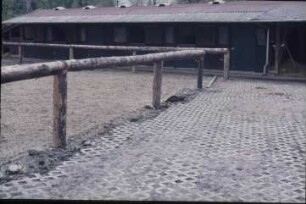 Fotografie: Pferdehaltung, Reitplatz