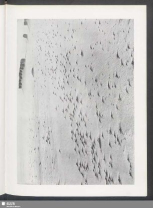Kleine Dünenbildungen hinter Steinen und Muscheln