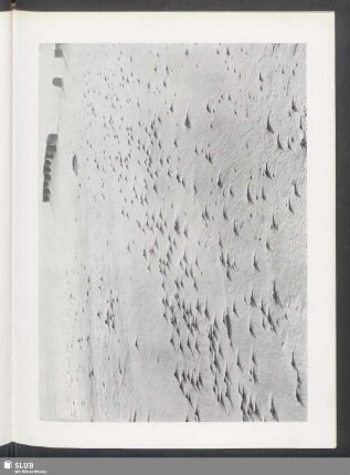 Kleine Dünenbildungen hinter Steinen und Muscheln