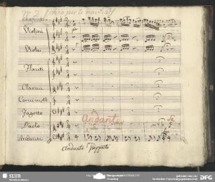 Canzone: "Se guardo il tuo volto"