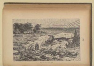 Auf der Lüneburger Heide