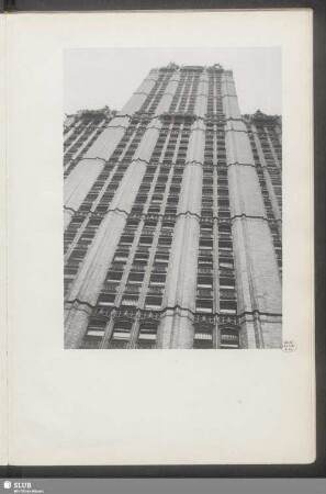 Woolworth-Building / Schrägaufnahme