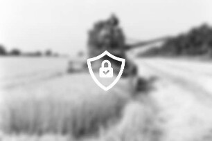 Landwirtschaft: Einbringen der Wintergerste: Landwirt [Name maskiert] und Helfer [Name maskiert] [Name maskiert] Mähdrescher: rechts Feldbereich nach Ernte, Stroh: hinten rechts Bäume: 1. [Name maskiert]