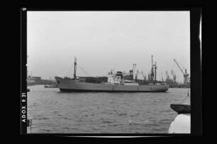 Helios (1950), Neptun.- Dampfschifffahrts-Gesellschaft „Neptun“, Neptun Linie, D.G. "Neptun", Bremen