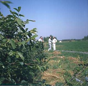 Hansjakob, Gottfried; Wien - Donau (AT); Donauinsel und Donaukraftwerk Freudenau - Donauinsel, Landschaftsaufnahme, Gruppenfoto