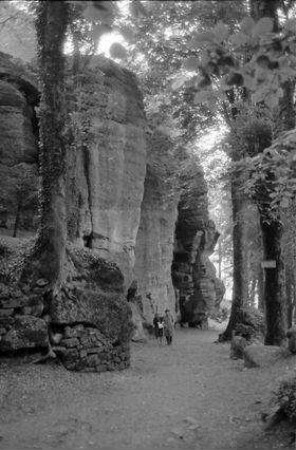St. Odile: Waldweg der Stationen und Felsen des Odilienbergs