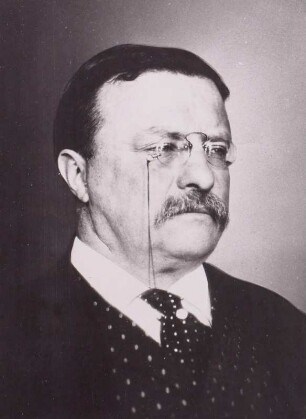 Roosevelt, Theodore