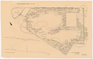 Garten Dr. Bruns, Asslar: Gehölz- und Staudenbepflanzung, Lageplan mit Schnitten 1:100