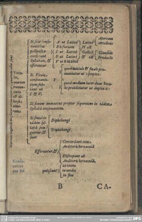 [Norma legendi versatur circa literas, quarum alia sunt]