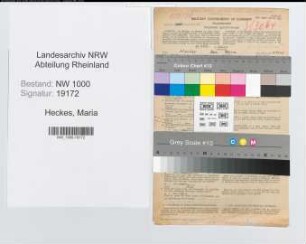Entnazifizierung Maria Heckes, geb. 05.10.1878 (Kauffrau)