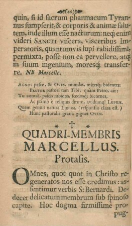 Quadri-membris Marcellus