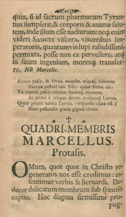 Quadri-membris Marcellus