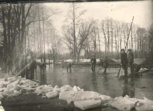 Hochwasser in Burg : Landschaft - Spreewald. Ort: Bórkowy / Burg-Spreewald. Hochwasser