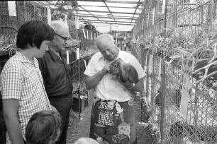 Ausstellung des Kleintierzuchtvereins C 4 Durlach-Aue in der Gaststätte "Hasen-Klause" im Killisfeld