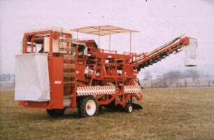Fotografie: Gartenbautechnik-Freiland, Erntetechnik, Tomate