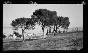 Küste bei Aiwalyk (= Ayvalýk, Prov. Balýkesir, Türkei) nördlich Smyrna (= Izmir, Prov. Izmir, Türkei)