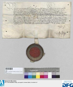 König Maximilian I. stellt der Stadt Nürnberg Quittung aus über 800 fl. Stadtsteuer.