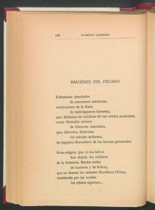 Imágenes del pecado