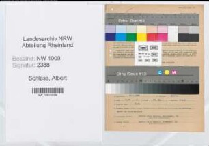 Entnazifizierung Albert Schless, geb. 16.07.1889 (Schmied)