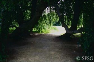 Potsdam, Park Sanssouci, Park Charlottenhof, Parkpartie.