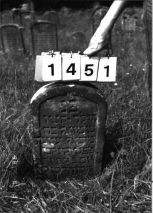 Grabstein 1451 (Index: 100098073) Maße HxBxT: 58x35x8 cm Besonderheit: Kindergrab: Grabstein 1451
