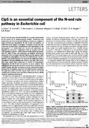 ClpS is an essential component of the N-end rule pathway in Escherichia coli