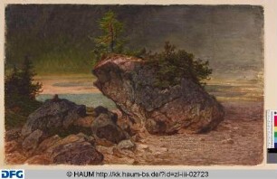 Bewachsener Felsen vor einem See