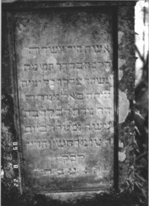 Grabstein 405 (Index: 99799619) Material: Sandstein Zustand: stark verwittert Maße HxBxT: 100x48x11 cm Beschreibung: Stele, Abdeckplatte, Giebelaufsatz, Seitenakrotere, Schriftfeld eingetieft, Sockel Symbolik: floral: Grabstein 405 (Detailaufnahme 2)